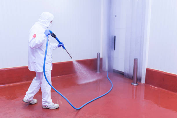 Best Patio and Deck Pressure Washing  in Kingston, IL