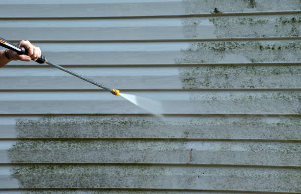 Best Gutter Cleaning  in Kingston, IL